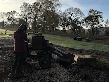 Stump Grinding