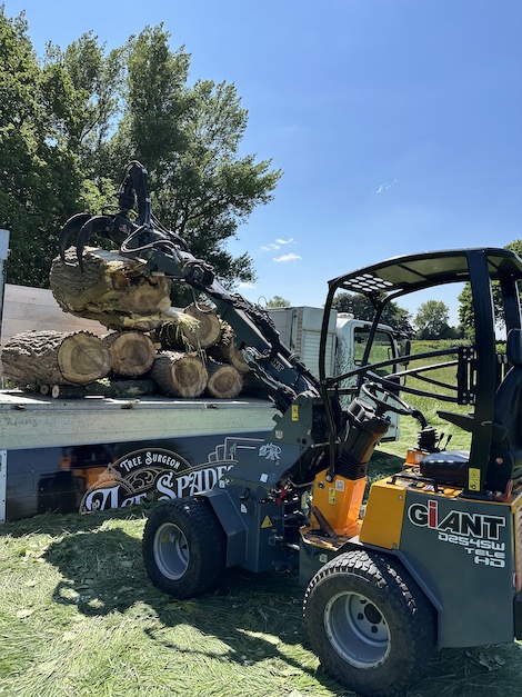 Ace of Spades Tree Services