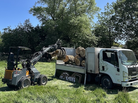 Ace of Spades Tree Services & Stump Removal