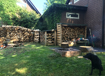 Logs for sale