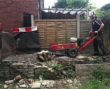 Stump Grinding