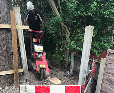 Stump Grinding